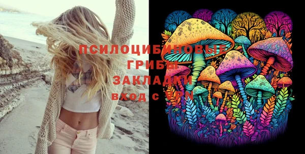 МДПВ Алексин