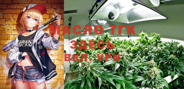 МДПВ Алексин