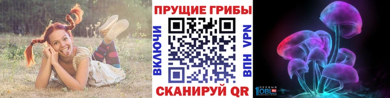 наркошоп  Асбест  Псилоцибиновые грибы Psilocybe 